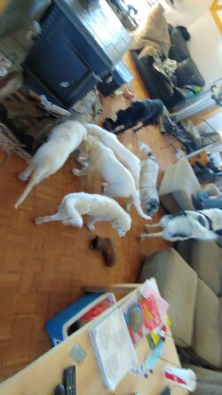 20220117_190831.jpg