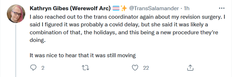 revision1.png