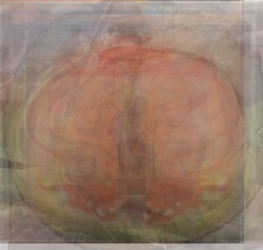 F606E50E-FD26-4A22-8D9C-259354377031.png