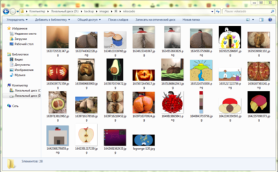 EB24B4AB-A385-4BBC-8513-2C85A81B982F.png