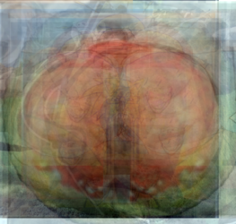 DB3EEE4C-462D-4107-9868-49DBAB4D2F24.png