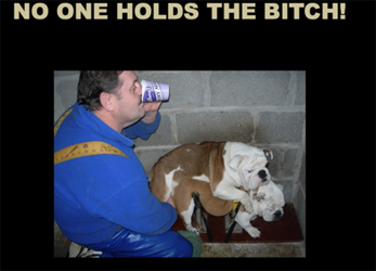 efdsdd.PNG