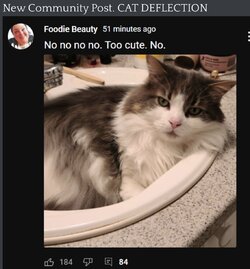 3D84F81F-6578-4CB0-A0A9-9DF7DA592E03.jpeg