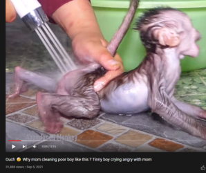 1642723154362.png
