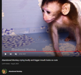 1642724707164.png