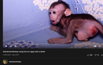 1642724763008.png