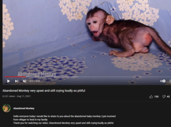 1642725015657.png