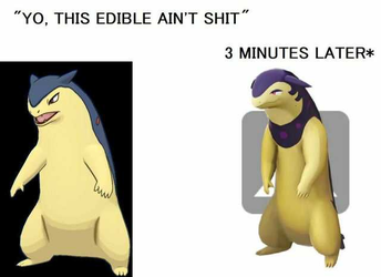 typhlosion after eating edibles.png