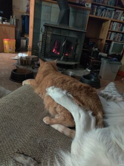 20220121_230642.jpg