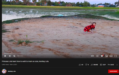 1642897278437.png