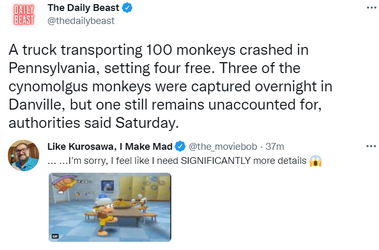 monkey.png