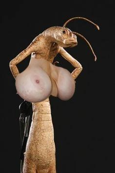 Untitled-2.png