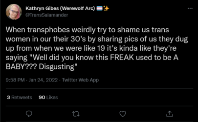 Screenshot 2022-01-25 at 02-06-00 Kathryn Gibes (Werewolf Arc) 🏳️‍⚧️✨ on Twitter.png