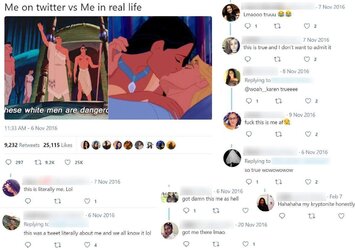 me on twitter meme.jpg