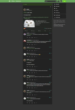 6.png