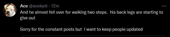 Screenshot 2022-01-27 at 08-26-47 Ace ( acekatt) Twitter.png