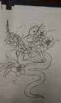 snekdrawing.jpg