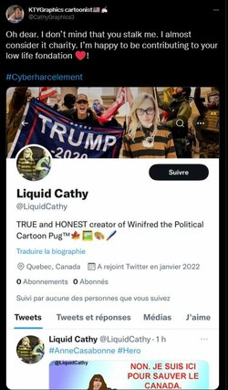 cathytrolls3.JPG