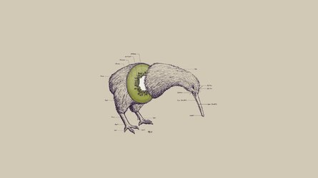 kiwi.jpg