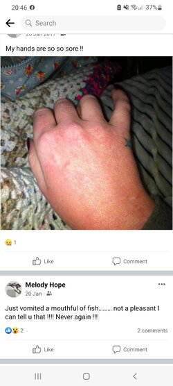 Screenshot_20220201-204612_Facebook.jpg