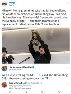 groundhog.png