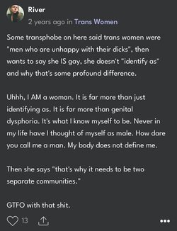 Based Long post from actual lesbian excerpt 1.JPG