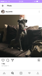 Screenshot_20171011-213943.png