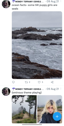 Screenshots_2022-02-03-19-55-12.png