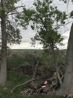 20220203_194713.jpg