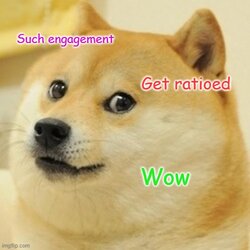 doge_ratio - Copy.jpg doge_ratio - Copy.jpg