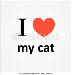 catstockc.png