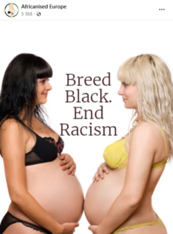 endracismkillwhity.png