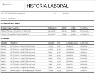 historial-laboral-nimu.jpg