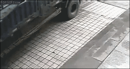dumbvstruck.gif