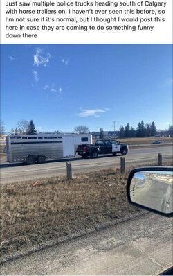 Calgary horse trailers.jpeg