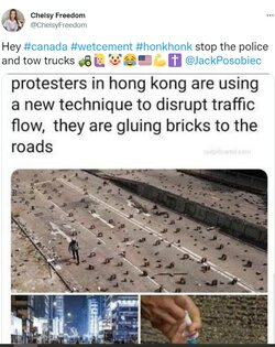 Glue.jpg