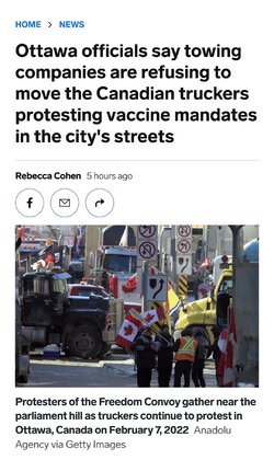 Screenshot_20220208-142612_DuckDuckGo.jpg