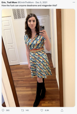 outfit 33.png