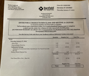 lou lover vet invoice.png