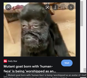 mutant.png
