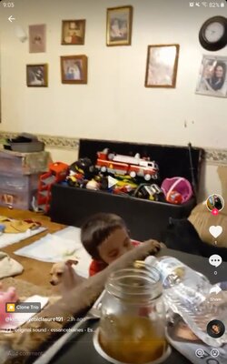 Screenshot_20220210-090540_TikTok.jpg