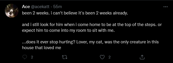 Screenshot 2022-02-10 at 12-00-17 Ace ( acekatt) Twitter.png