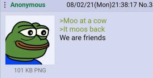 Moo.jpg