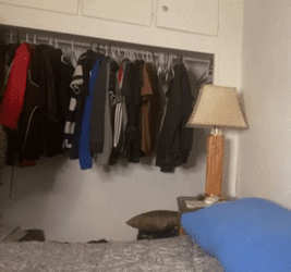 Picnic_in_Bed__cropped (2).gif