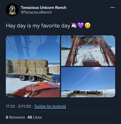 54301AAF-0504-4A83-B039-378FFA8D7BF5.jpeg
