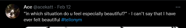 Screenshot 2022-02-14 at 04-29-55 (1) Ace ( acekatt) Twitter.png