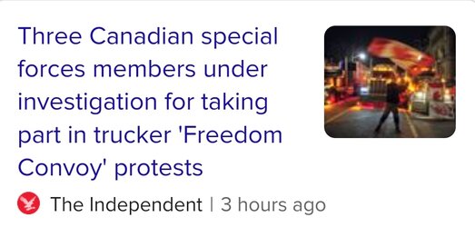 Screenshot_20220214-085628_DuckDuckGo.jpg