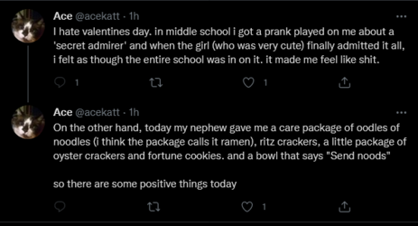 Screenshot 2022-02-14 at 22-35-30 Ace ( acekatt) Twitter.png