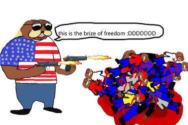 AmericanBear029.png
