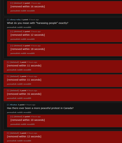 Untitled.png